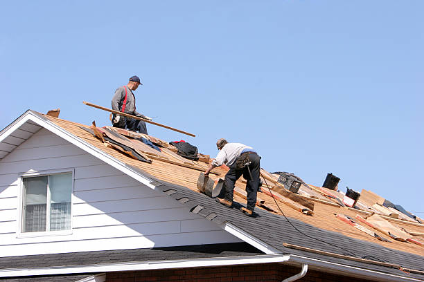 Best Gutter Installation and Repair  in Hildale, UT